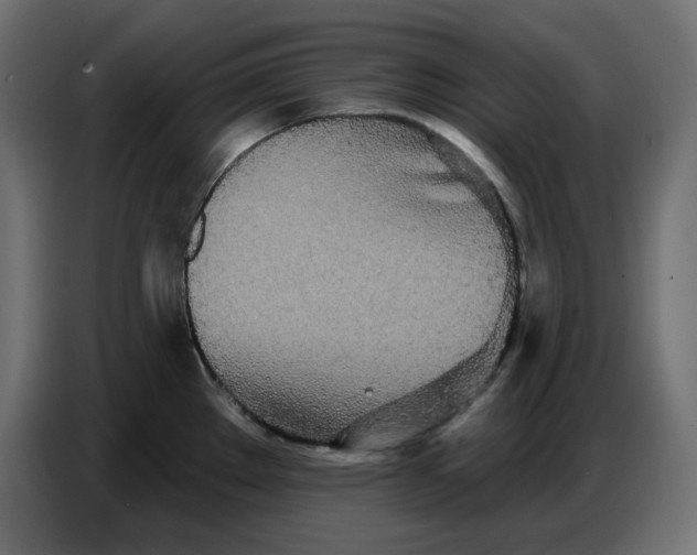 X0000086781289200705041521