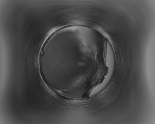 X0000086781291200705041520