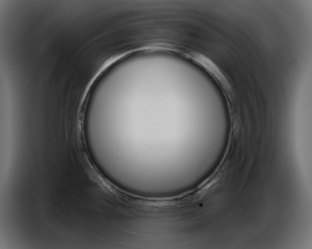 X0000086781292200705041520