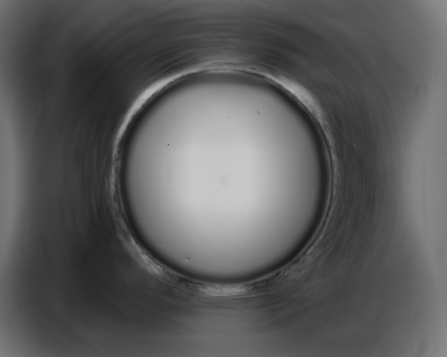 X0000086781296200705041520