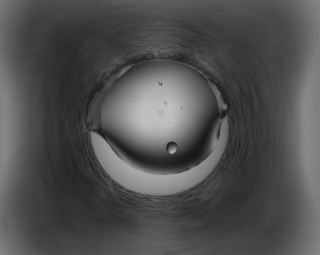 X0000086781298200705041520