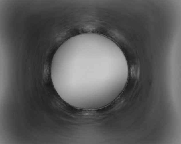 X0000086781299200705041520