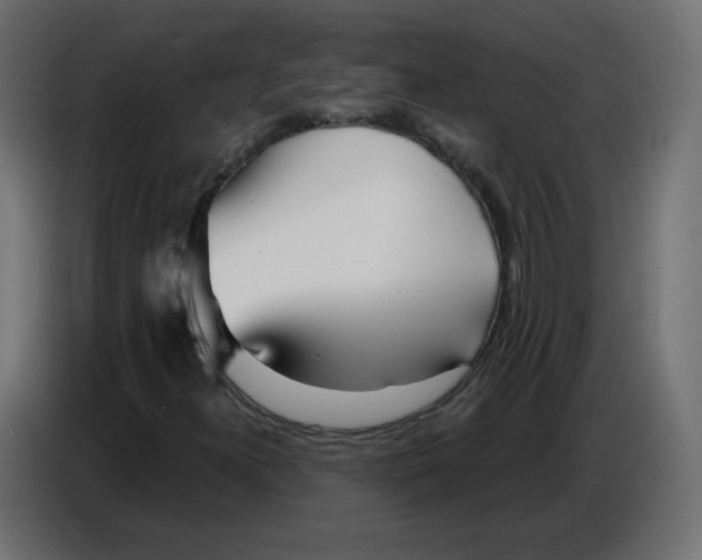 X0000086781300200705041520