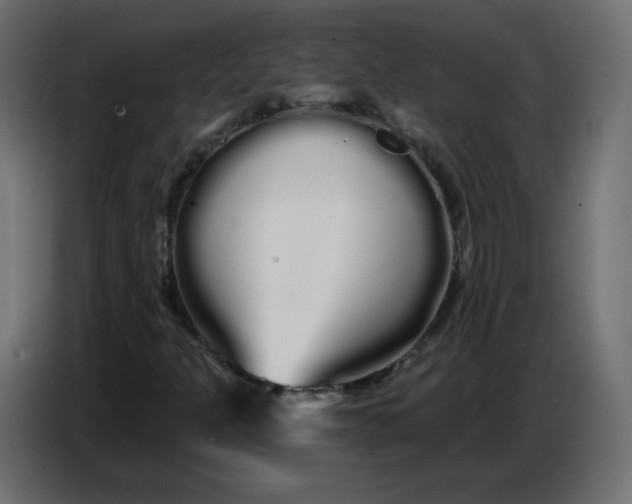 X0000086781301200705041520