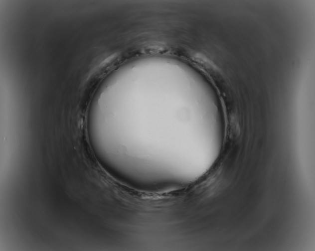 X0000086781302200705041520