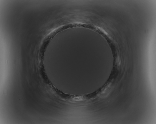 X0000086781303200705041520