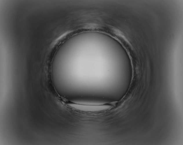 X0000086781304200705041520