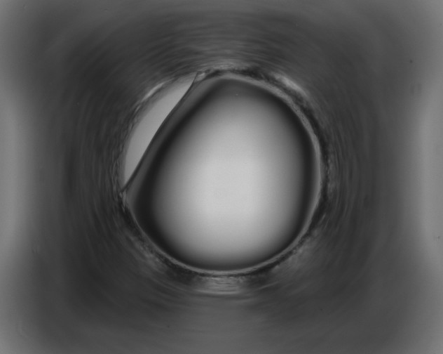 X0000086781305200705041520