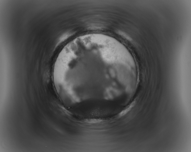 X0000086781306200705041520