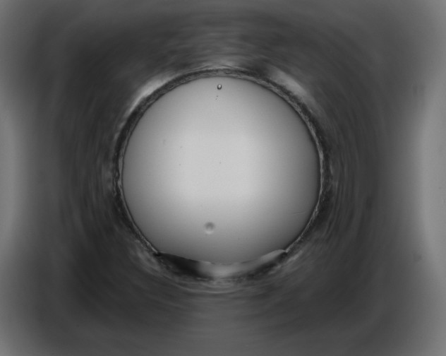 X0000086781308200705041520