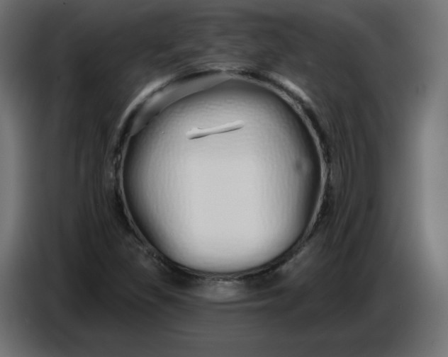 X0000086781309200705041520