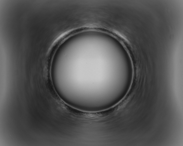 X0000086781311200705041520