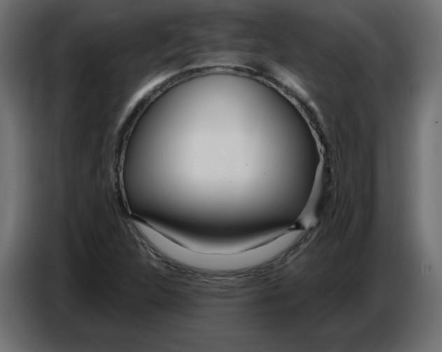 X0000086781312200705041520