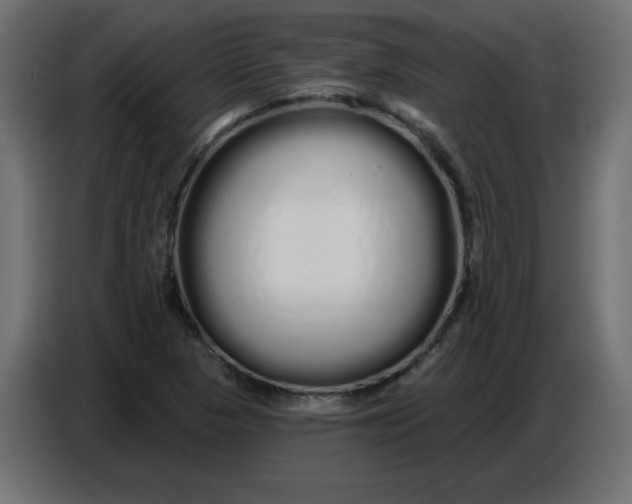 X0000086781313200705041520