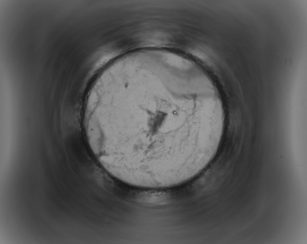 X0000086781314200705041520