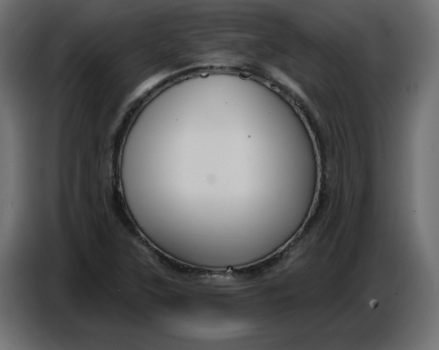 X0000086781315200705041520