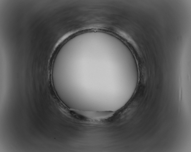 X0000086781316200705041520