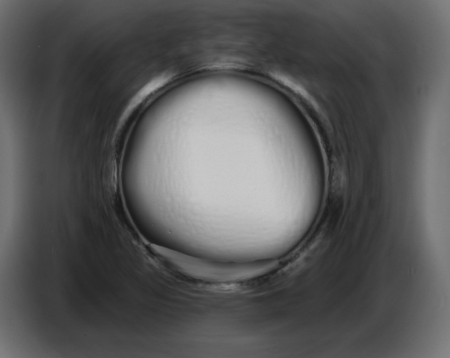 X0000086781317200705041520