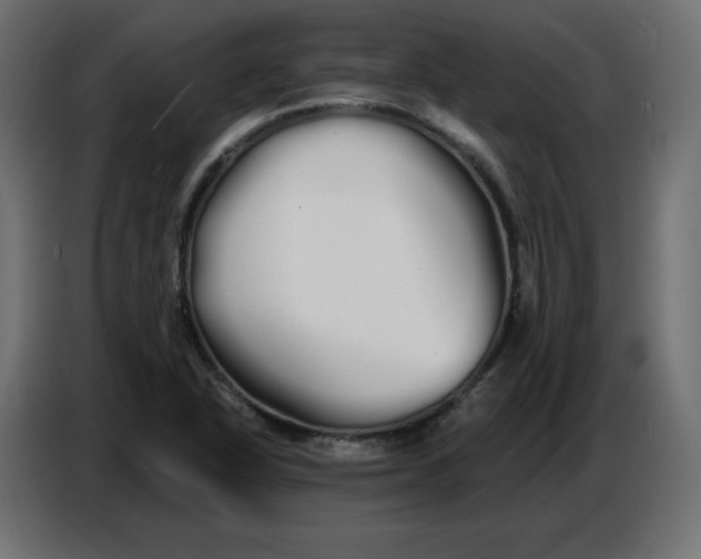 X0000086781318200705041520