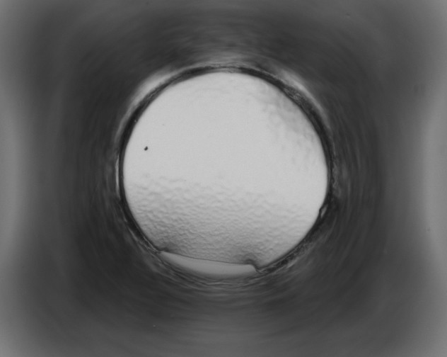 X0000086781320200705041520