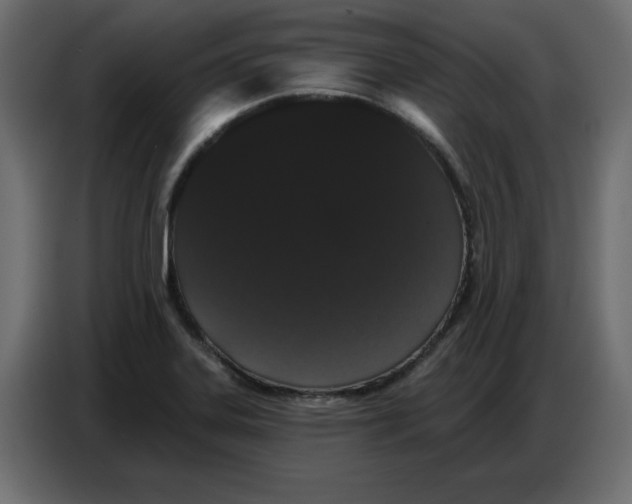 X0000086781323200705041520