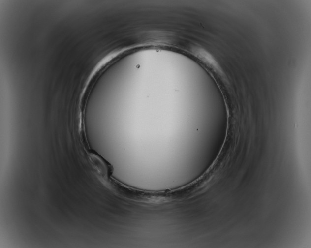 X0000086781324200705041520