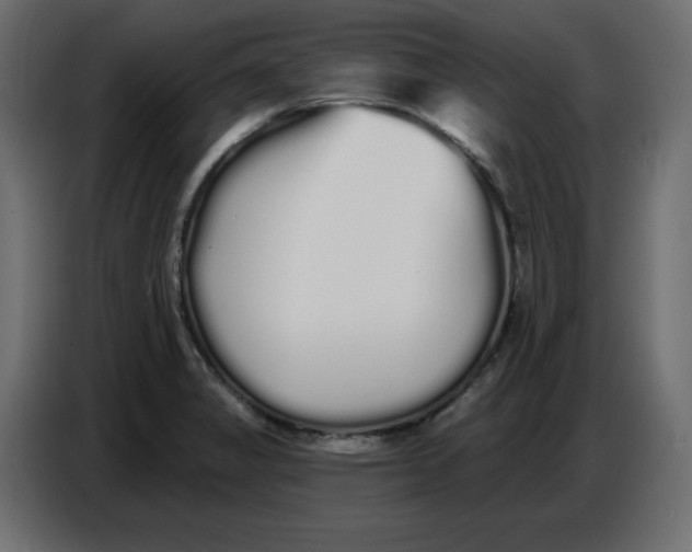 X0000086781325200705041520