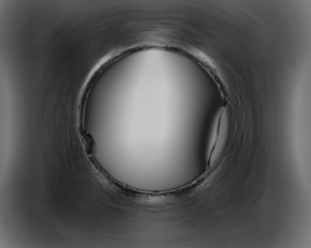 X0000086781326200705041520