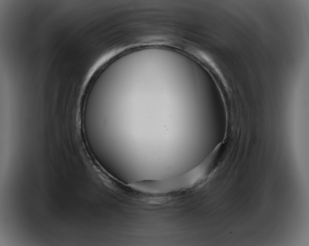 X0000086781328200705041520