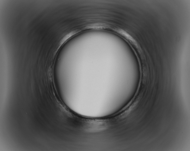 X0000086781329200705041520