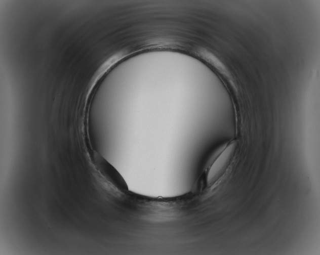 X0000086781330200705041520