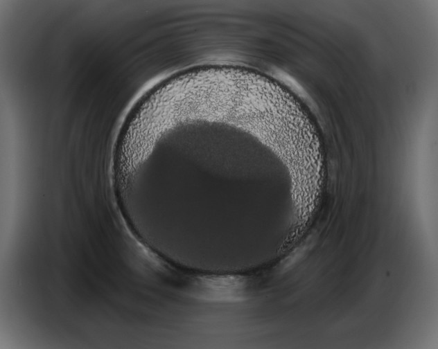 X0000086781331200705041520