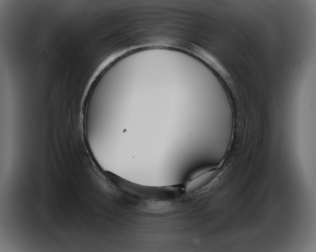 X0000086781332200705041520