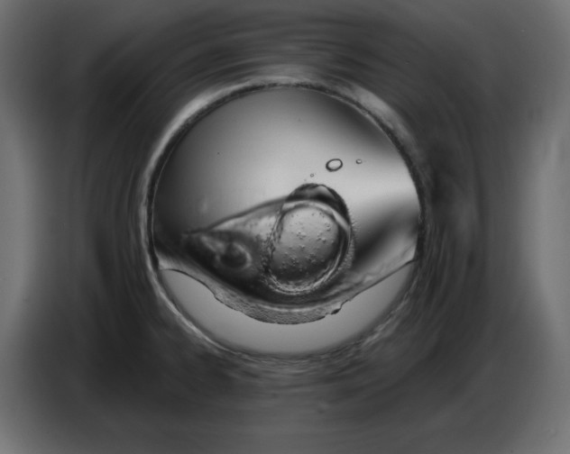 X0000086781334200705041520