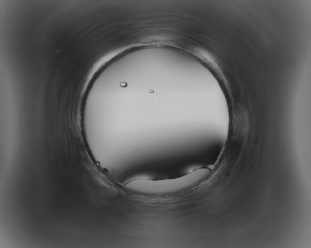 X0000086781336200705041520