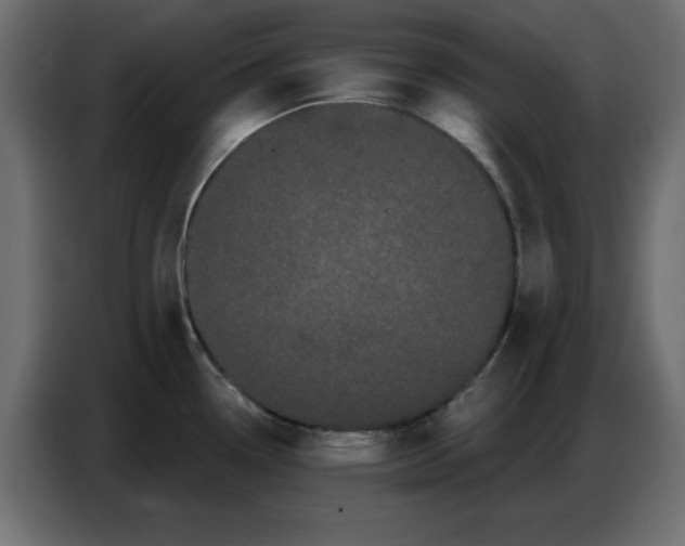 X0000086781338200705041520