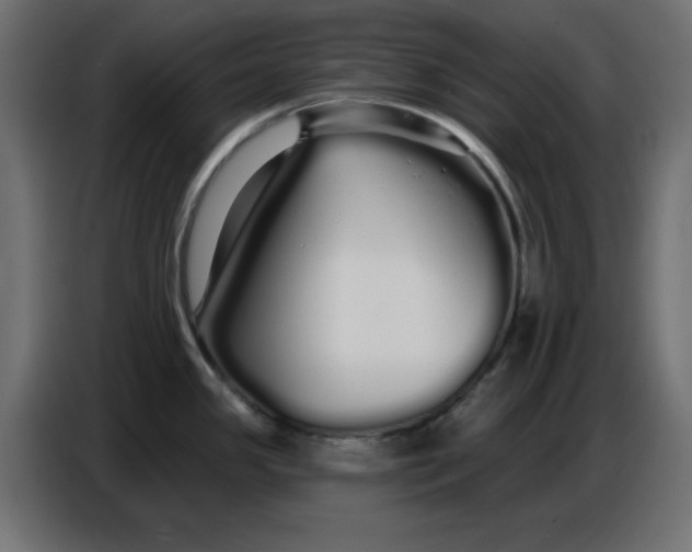 X0000086781341200705041520