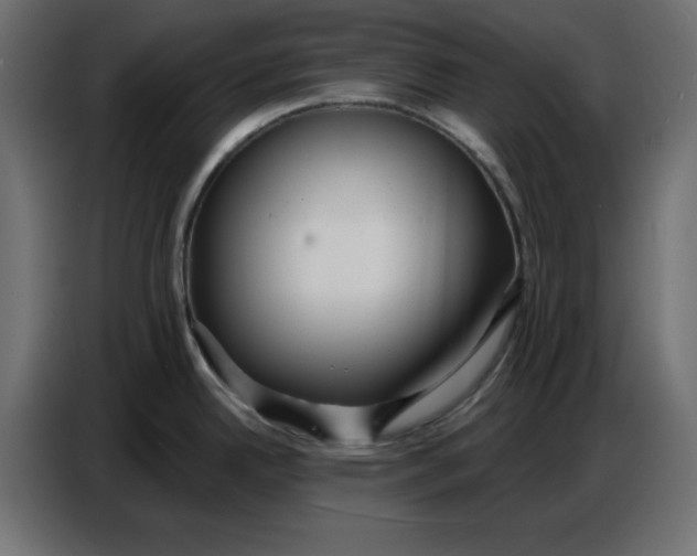 X0000086781342200705041520