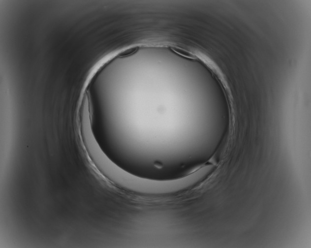 X0000086781344200705041520