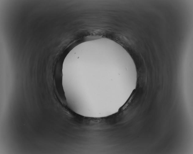 X0000086781345200705041520