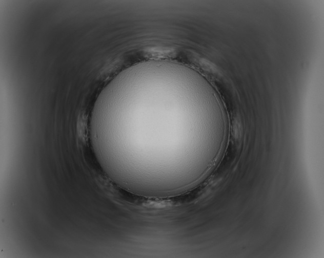 X0000086781346200705041520