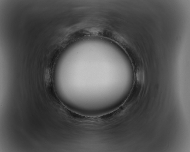 X0000086781347200705041520