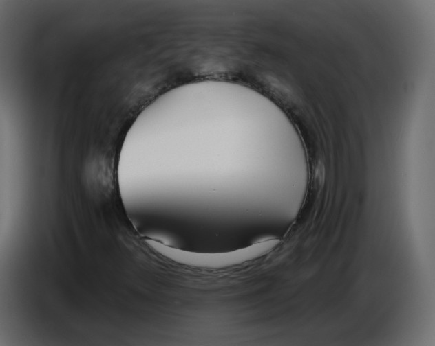 X0000086781348200705041520