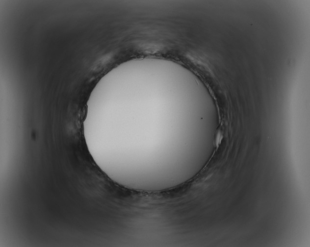 X0000086781349200705041520