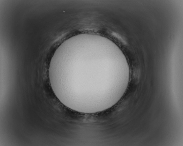 X0000086781350200705041520