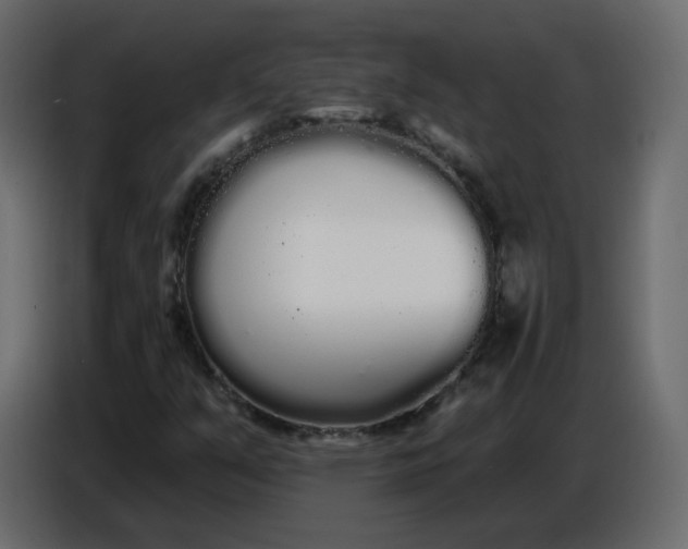 X0000086781351200705041520