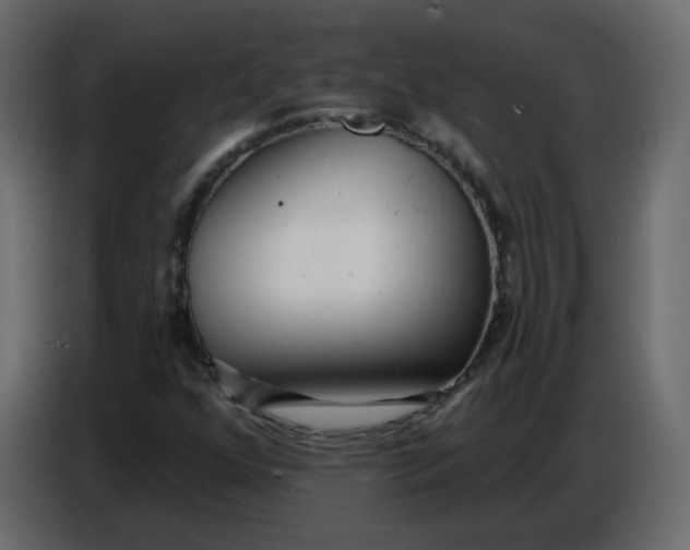 X0000086781352200705041520