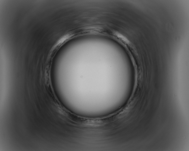 X0000086781354200705041520