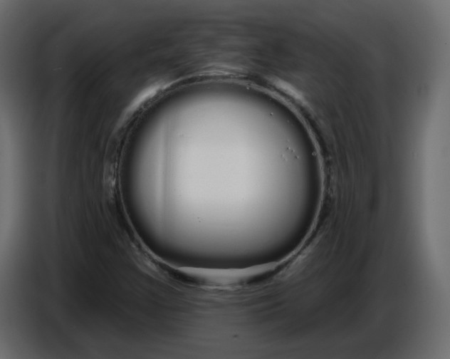 X0000086781355200705041520