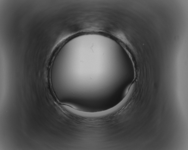 X0000086781356200705041520